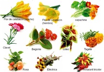 Images_115211_thumb_1