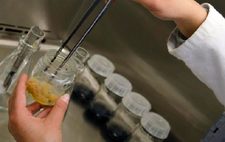 Images_123134_thumb_37