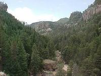 Images_131133_thumb_1