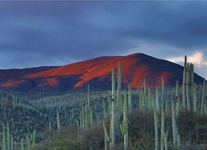 Images_132087_thumb_tehuac%c3%a1n-cuicatlan_patrimonio_de_la_humanidad
