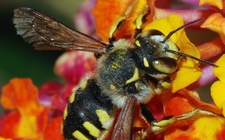 Images_151135_thumb_resolver-problemas-matematicas-requiere-nivel_4_0_1336_831