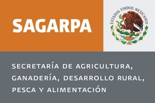 Images_1529_thumb_sagarpa