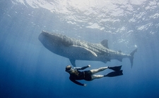 Images_160543_thumb_conoce-junio-mundial-oceanos-world_0_48_1200_747