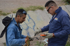 Images_160902_thumb_unnamed