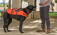 Images_165206_thumb_control-utilizados-personas-sufren-discapacidad_96_0_1085_675