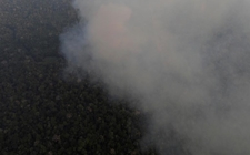 Images_166850_thumb_amazonia-contiene-tercio-bosques-primarios_0_40_1024_637