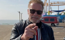 Images_167623_thumb_arnold-schwarzenegger-donald-trump-enamorado_0_94_958_596