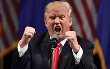 Images_168236_thumb_donald-trump-104_0_26_978_608