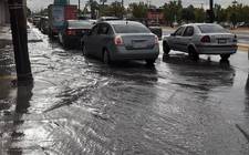 Images_168702_thumb_whatsapp_image_2019-10-02_at_8.50.08_am