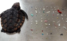 Images_168810_thumb_twitter-9_10_0_826_514