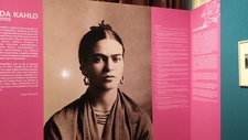 Images_168991_thumb_frida