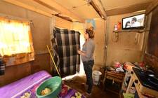 Images_169251_thumb_claudia_diano