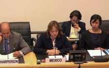 Images_169265_thumb_martha-delgado-subsecretaria-asuntos-multilaterales-2