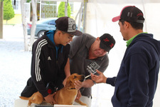 Images_169318_thumb_unnamed