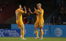 Images_169410_thumb_critican-tigres-unirse-protesta-veracruz_0_1_958_596