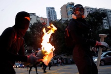 Images_169487_thumb_2240302