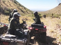 Images_169684_thumb_2242987