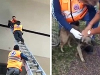 Images_170234_thumb_2250129