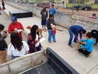 Images_170408_thumb_img-20191108-wa0019