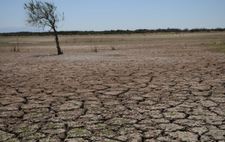 Images_170575_thumb_ante_los_efectos_del_cambio_clim%c3%a1tico_hay_la_necesidad_urgente_de_recuperar_los_suelos_degradados_severamente_en_la_regi%c3%b3n_noroeste_de_m%c3%a9xico