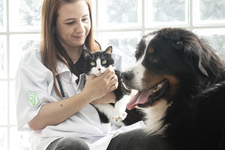 Images_171170_thumb_imagen3