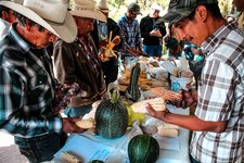 Images_171279_thumb_img_4284