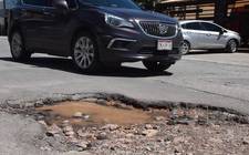 Images_171669_thumb_baches