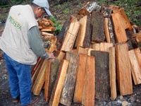 Images_171700_thumb_2266300