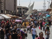 Images_171792_thumb_2267292