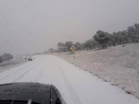 Images_171864_thumb_2268348