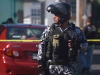 Images_172316_thumb_2273797