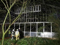 Images_172879_thumb_2280132