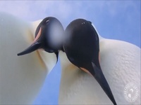 Images_172902_thumb_1876346