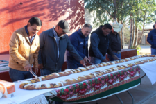 Images_173043_thumb_p1