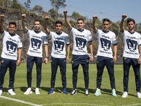 Images_173153_thumb_2283551