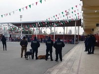 Images_173316_thumb_2286112