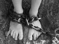 Images_173318_thumb_2286115