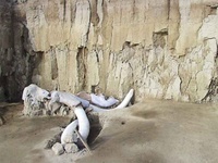 Images_173372_thumb_2286716