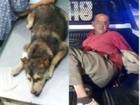 Images_173419_thumb_2287421