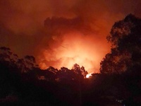 Images_173440_thumb_2287548_(1)