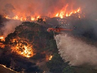 Images_173449_thumb_2288001