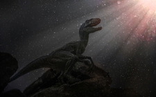 Images_173514_thumb_un-tiranosaurio-de-frente-al_0_3_500_311