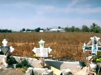 Images_173519_thumb_2288786