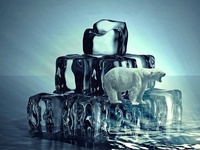 Images_173538_thumb_2288866