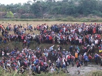 Images_173760_thumb_2293233