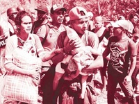 Images_173807_thumb_2294473