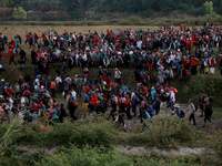 Images_173842_thumb_2294814