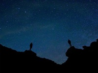 Images_174295_thumb_2304660