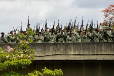 Images_174386_thumb_2306805