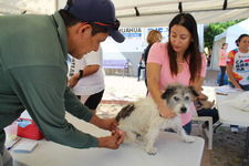 Images_174404_thumb_unnamed_(1)